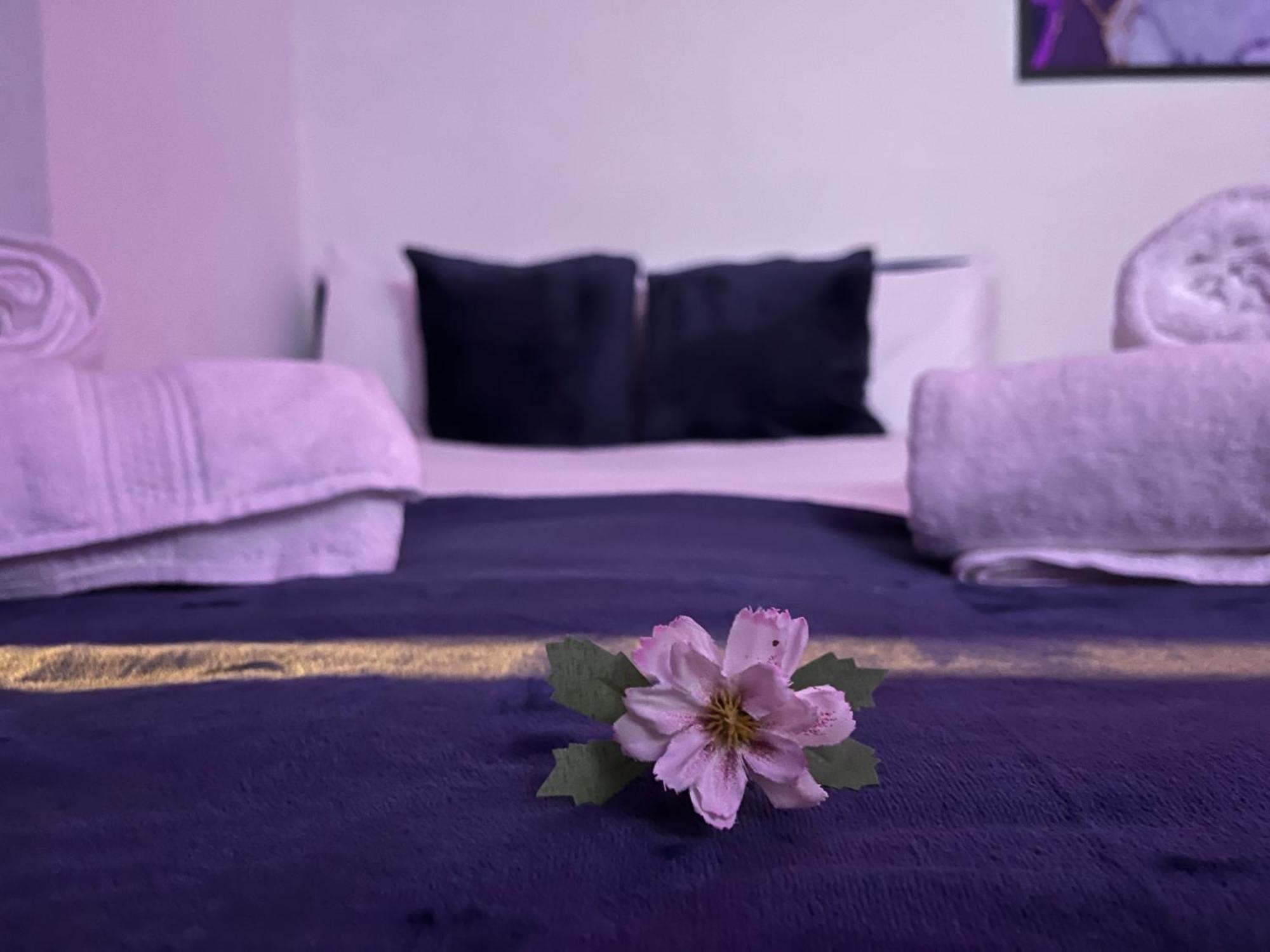 Apartment In Camden, Central Location لندن المظهر الخارجي الصورة