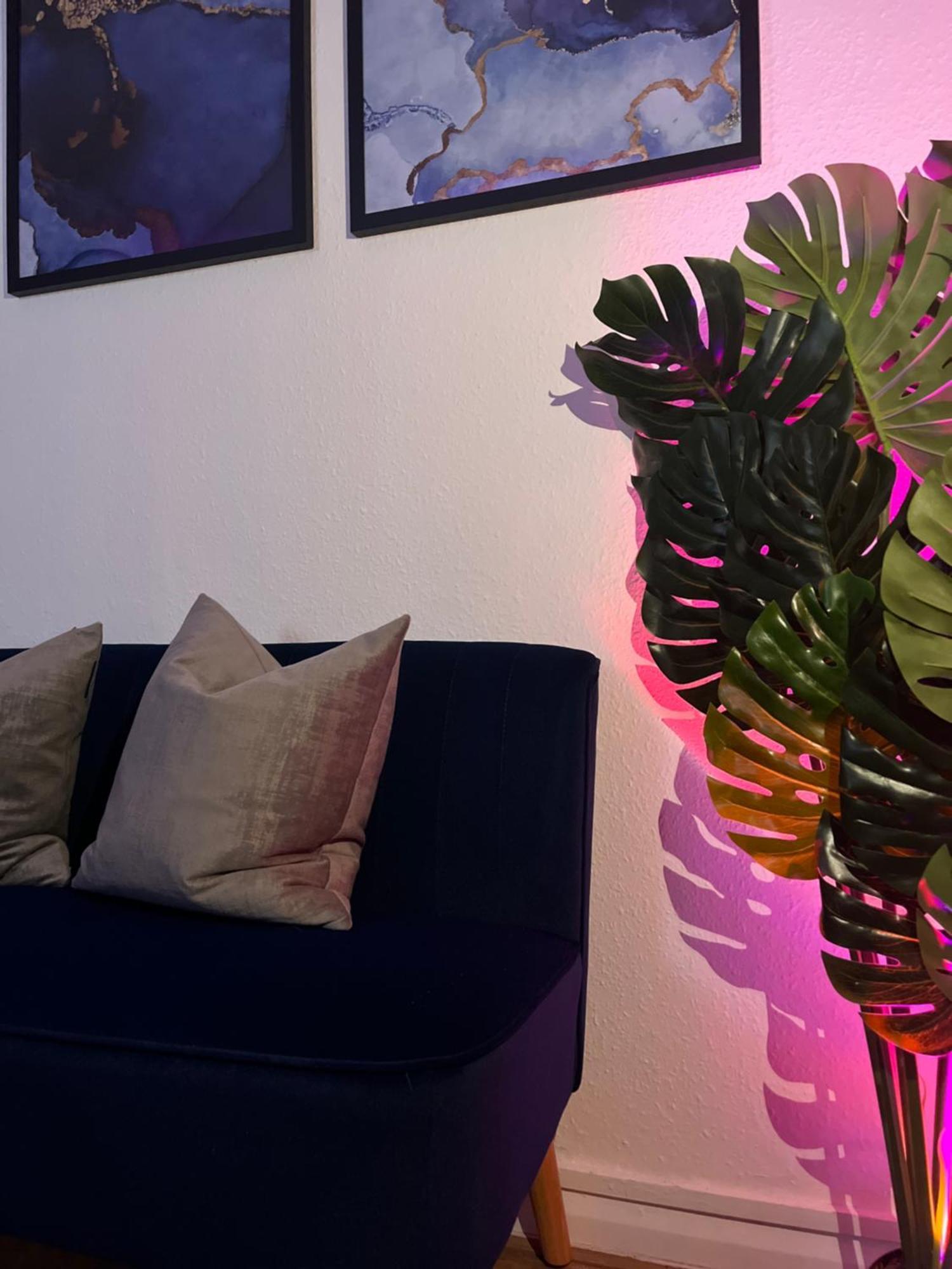Apartment In Camden, Central Location لندن المظهر الخارجي الصورة